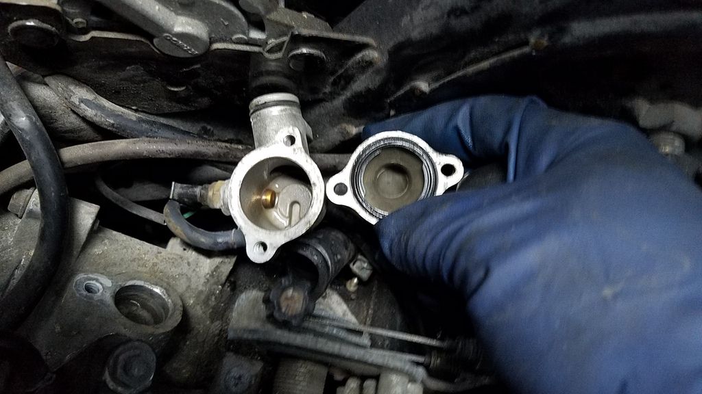 Performed the Citric Acid Flush With Great Results BobIsTheOilGuy